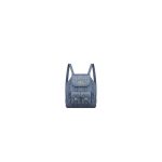 Medium Dior Caro Backpack(High-end Grade)