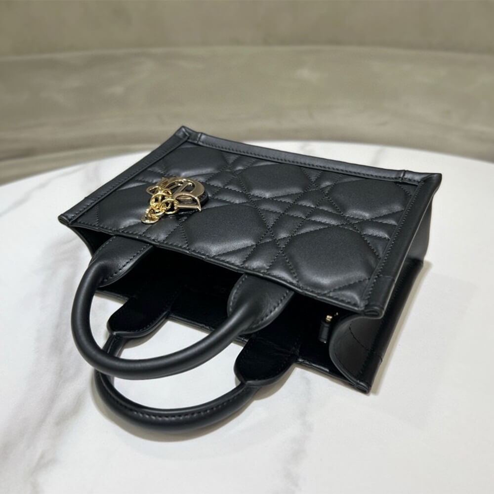 Mini Dior Book Tote - Image 4
