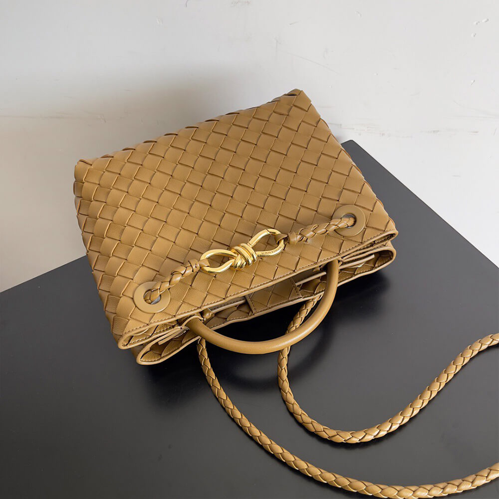 Dark Praline Bottega Veneta Small Andiamo - Image 6